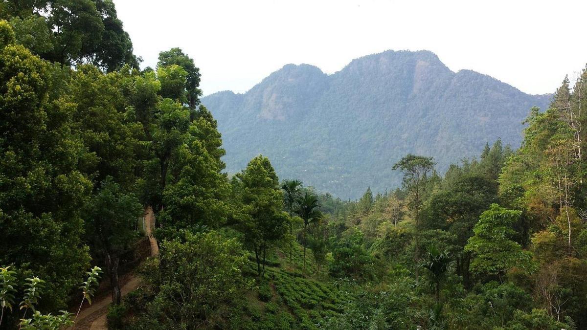 Forest Edge Hotel Ginigathena 外观 照片