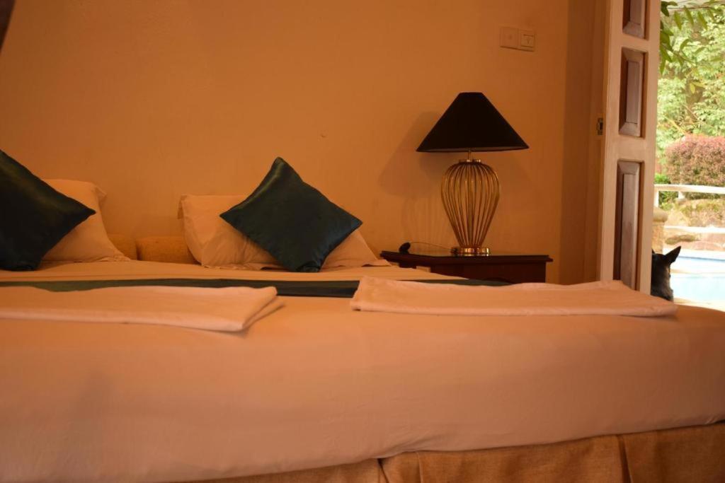 Forest Edge Hotel Ginigathena 外观 照片