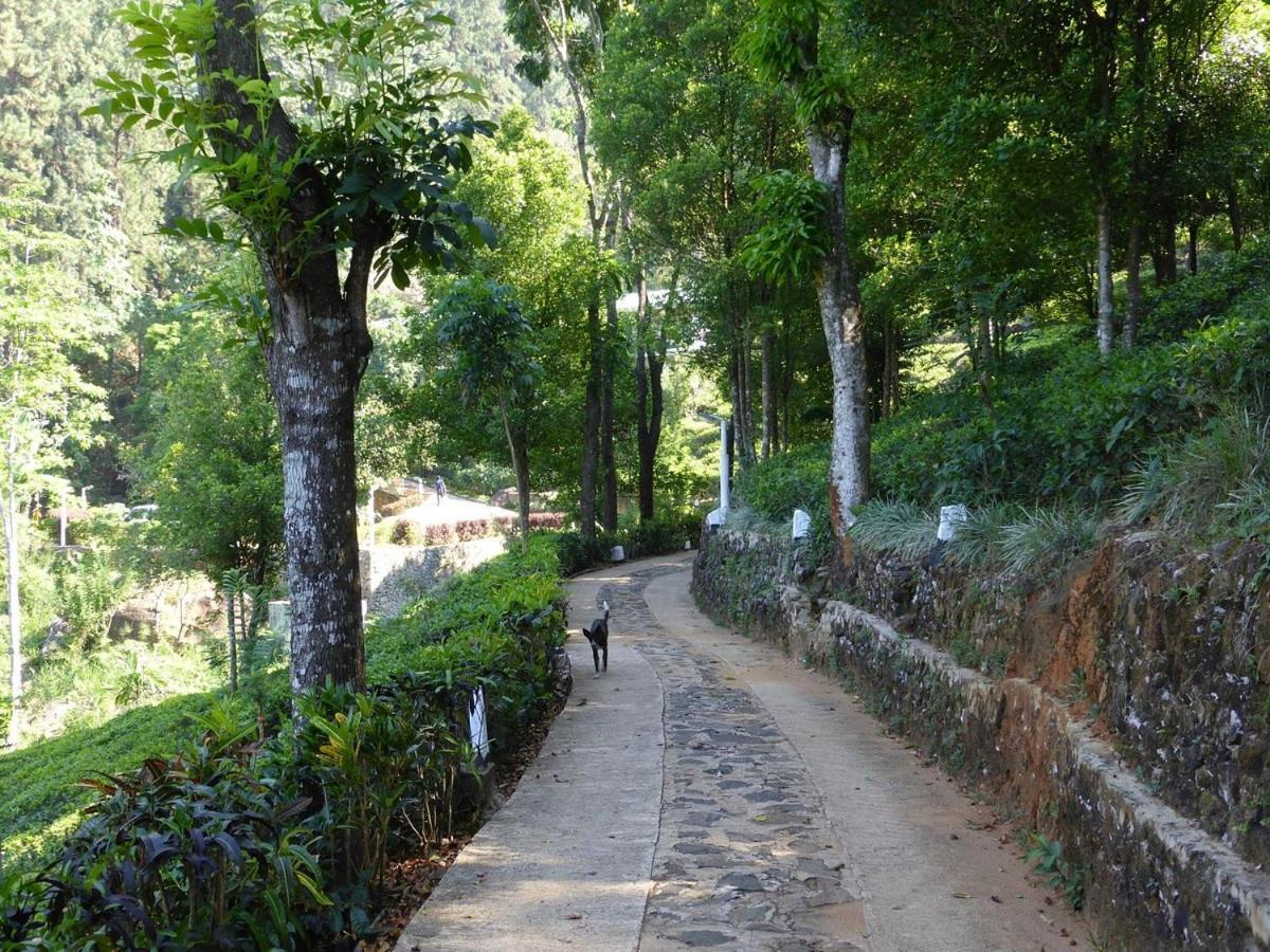 Forest Edge Hotel Ginigathena 外观 照片